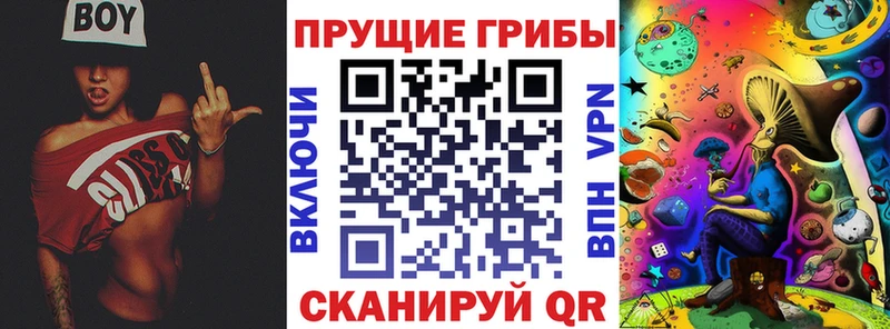 Псилоцибиновые грибы прущие грибы  купить закладку  Орск 
