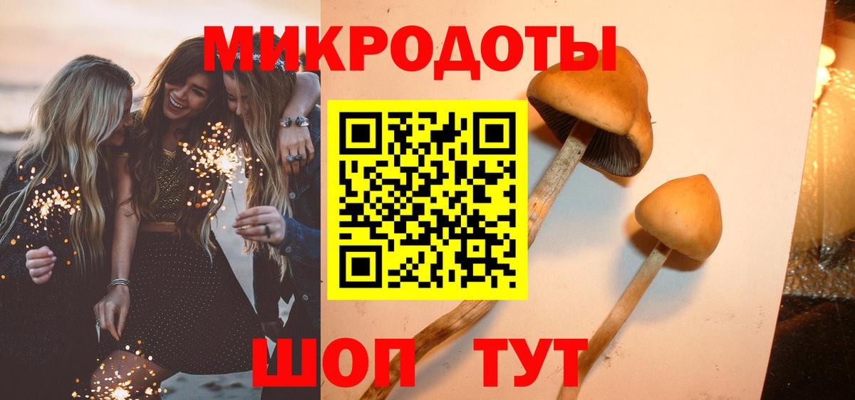 Галлюциногенные грибы Psilocybe Орск
