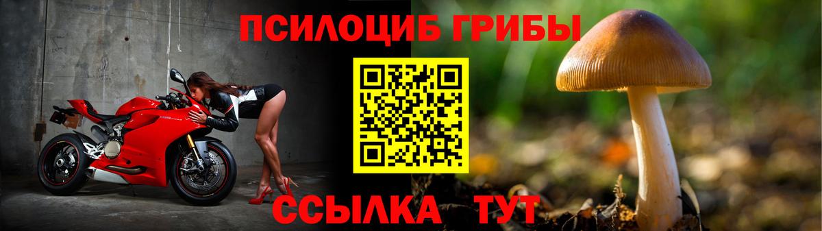 Псилоцибиновые грибы Cubensis  Вход с VPN  Псилоцибиновые грибы Psilocybe  Орск 